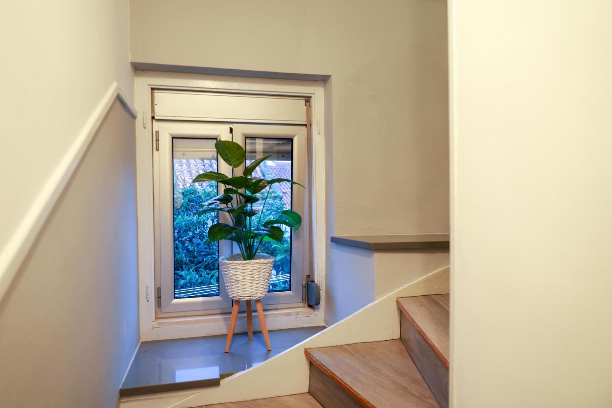 Guest House Abegorias Nazaré Extérieur photo